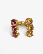 Anello Iris 6 castoni